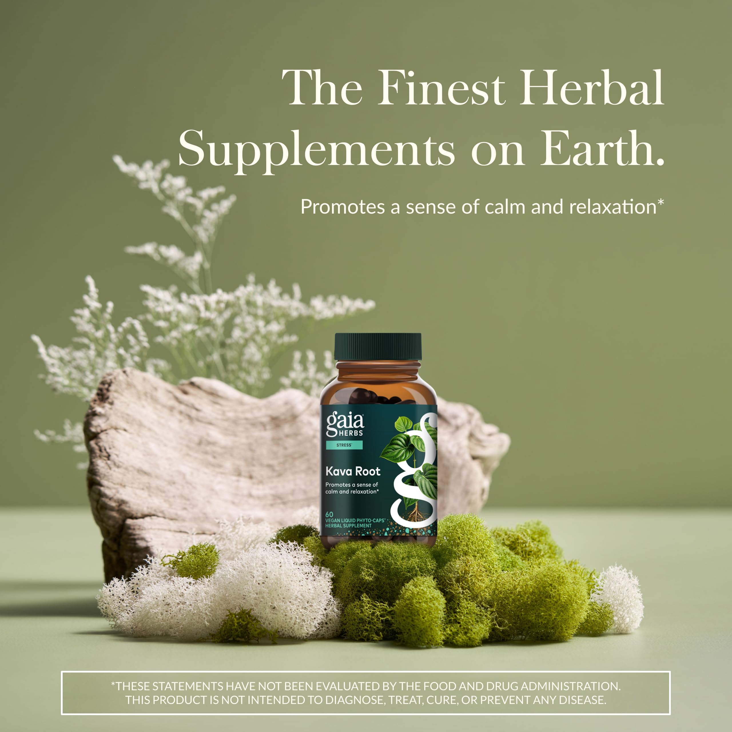 Gaia Herbs Kava extrait liquide concentration, flacon prêt à l’emploi pour calmer l’esprit.