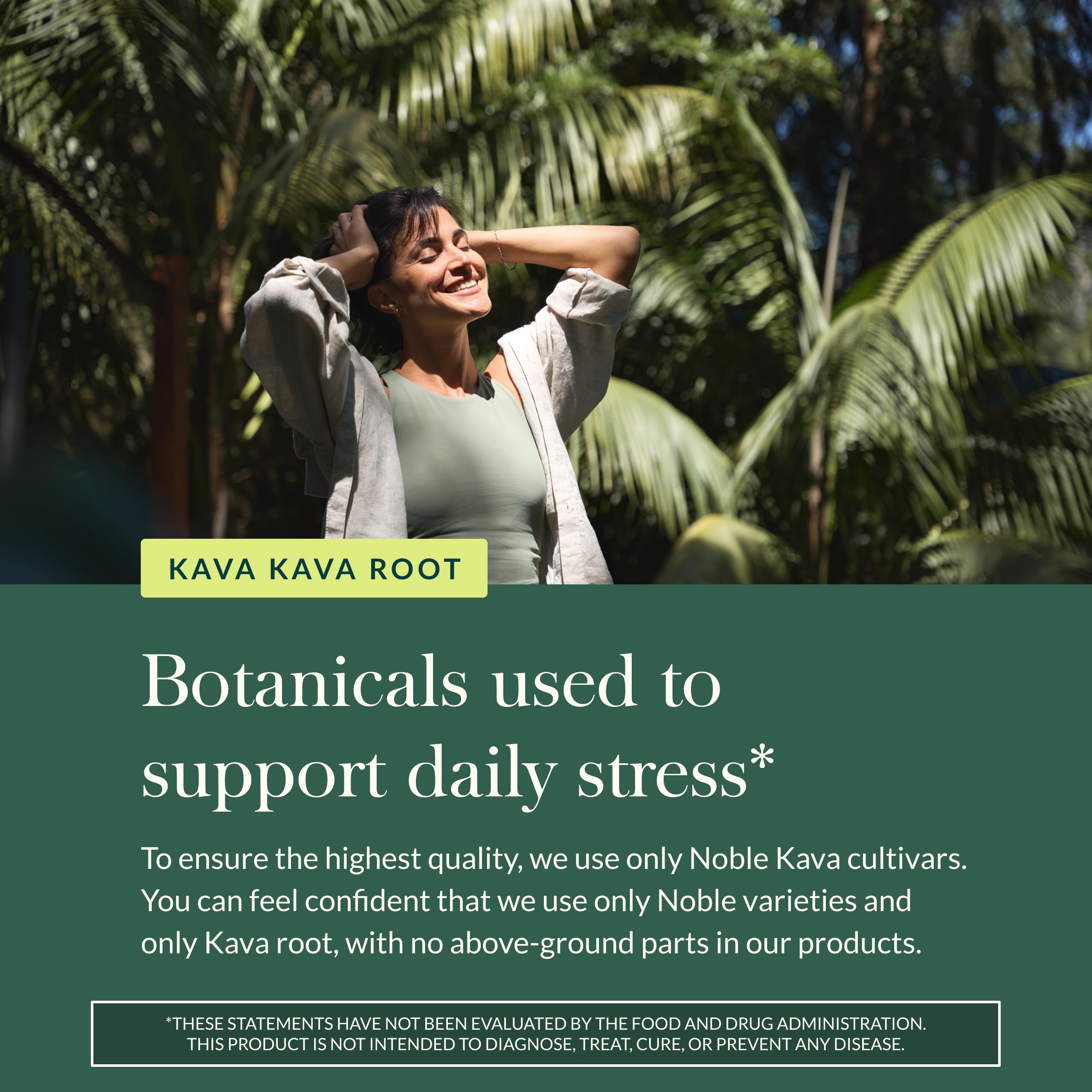 Gaia Herbs Kava soirée détente, aide potentielle pour une ambiance calme.