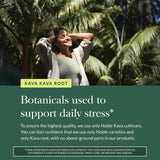 Gaia Herbs Kava soirée détente, aide potentielle pour une ambiance calme.