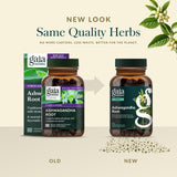 Gros plan sur l’étiquette Gaia Herbs, transparence et provenance