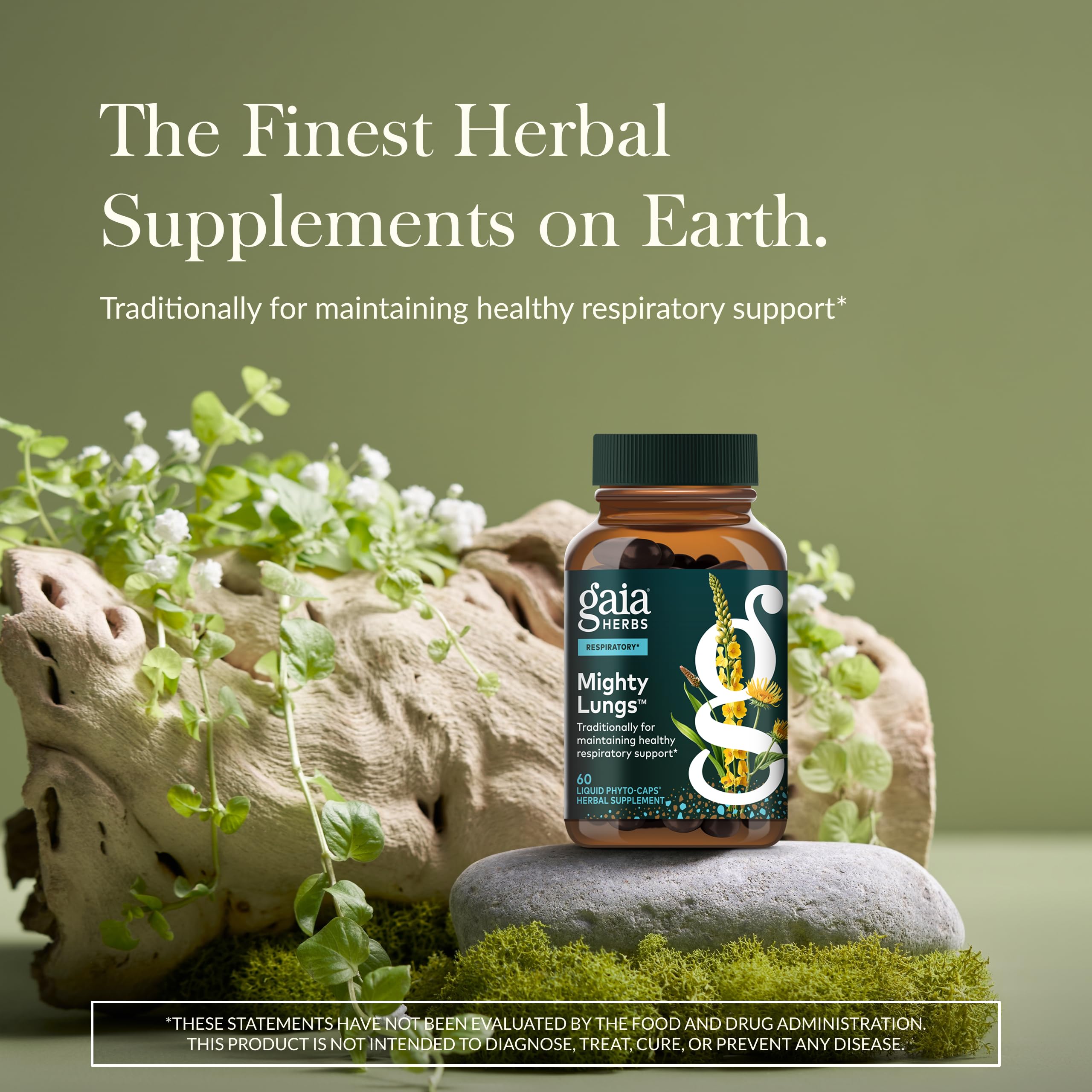 Gaia Herbs Mighty Lungs - Etiquette du produit affichant les herbes traditionnelles et leurs usages potentiels.