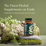 Gaia Herbs Mighty Lungs - Etiquette du produit affichant les herbes traditionnelles et leurs usages potentiels.