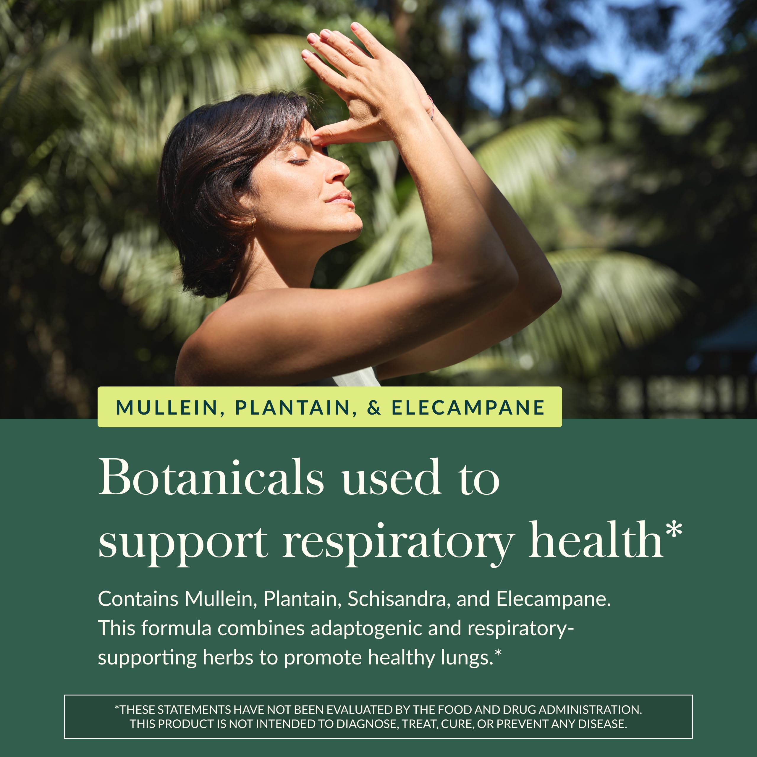 Gaia Herbs Mighty Lungs - Extrait de basilic sacré obtenu par CO2 supercritique pour une formulation pure.