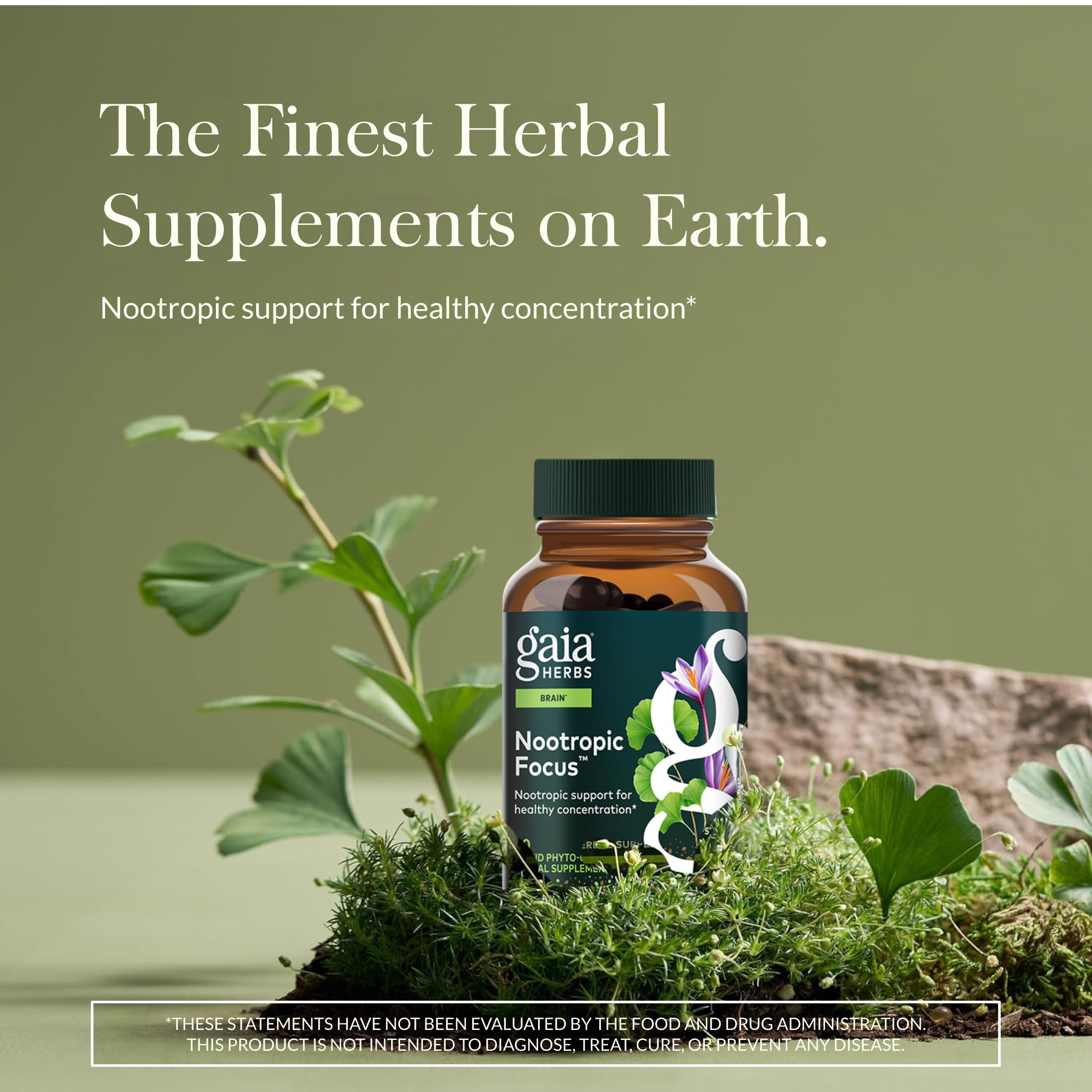 Gaia Herbs Nootropic Focus : bouteille présentée, idéal pour une routine de concentration.