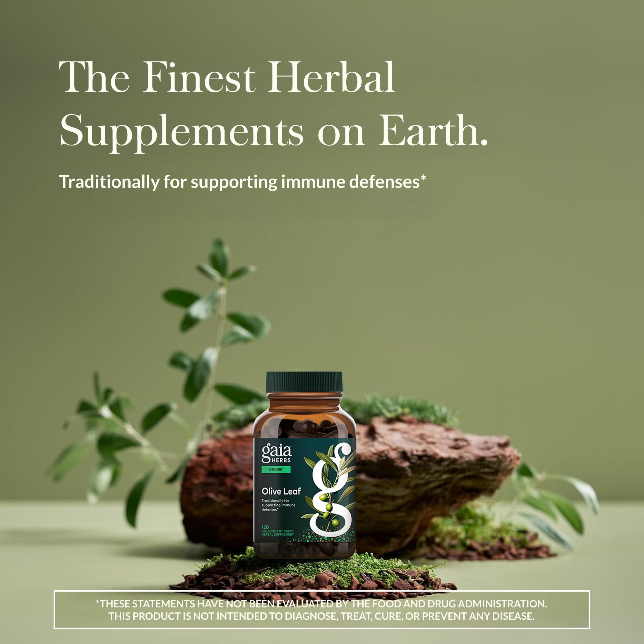 Gaia Herbs Olive Leaf - étiquette claire évoquant l’origine naturelle et la qualité.
