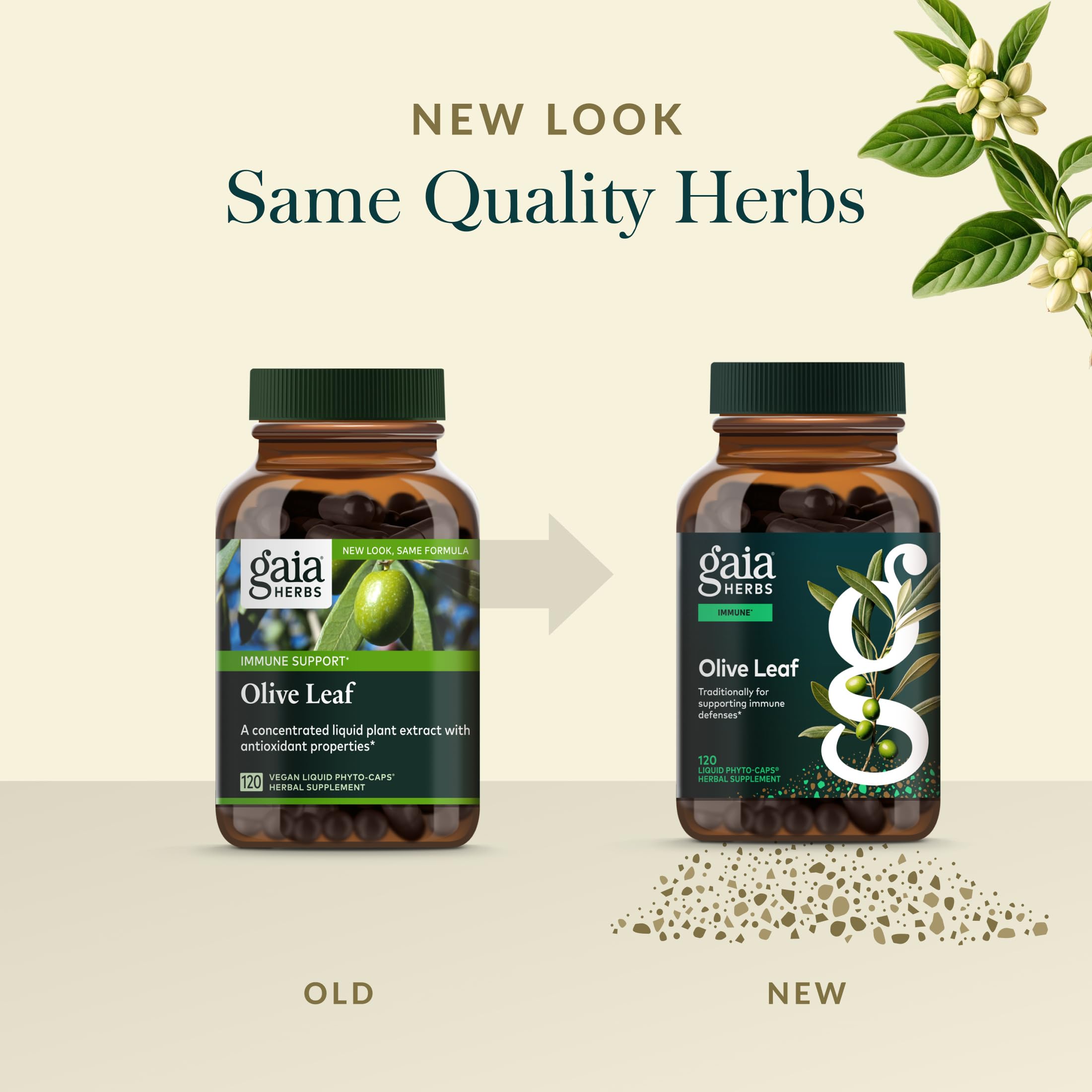 Gaia Herbs Olive Leaf - ferme coopérative fournissant les feuilles avec traçabilité.