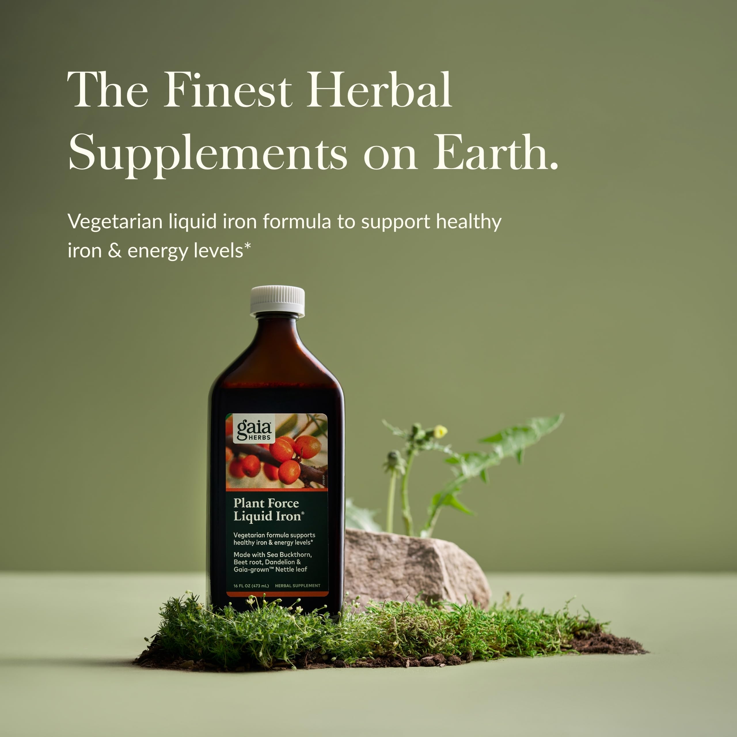 Gaia Herbs Plant Force Fer liquide – argousier — fer végétal absorbé pour votre routine.
