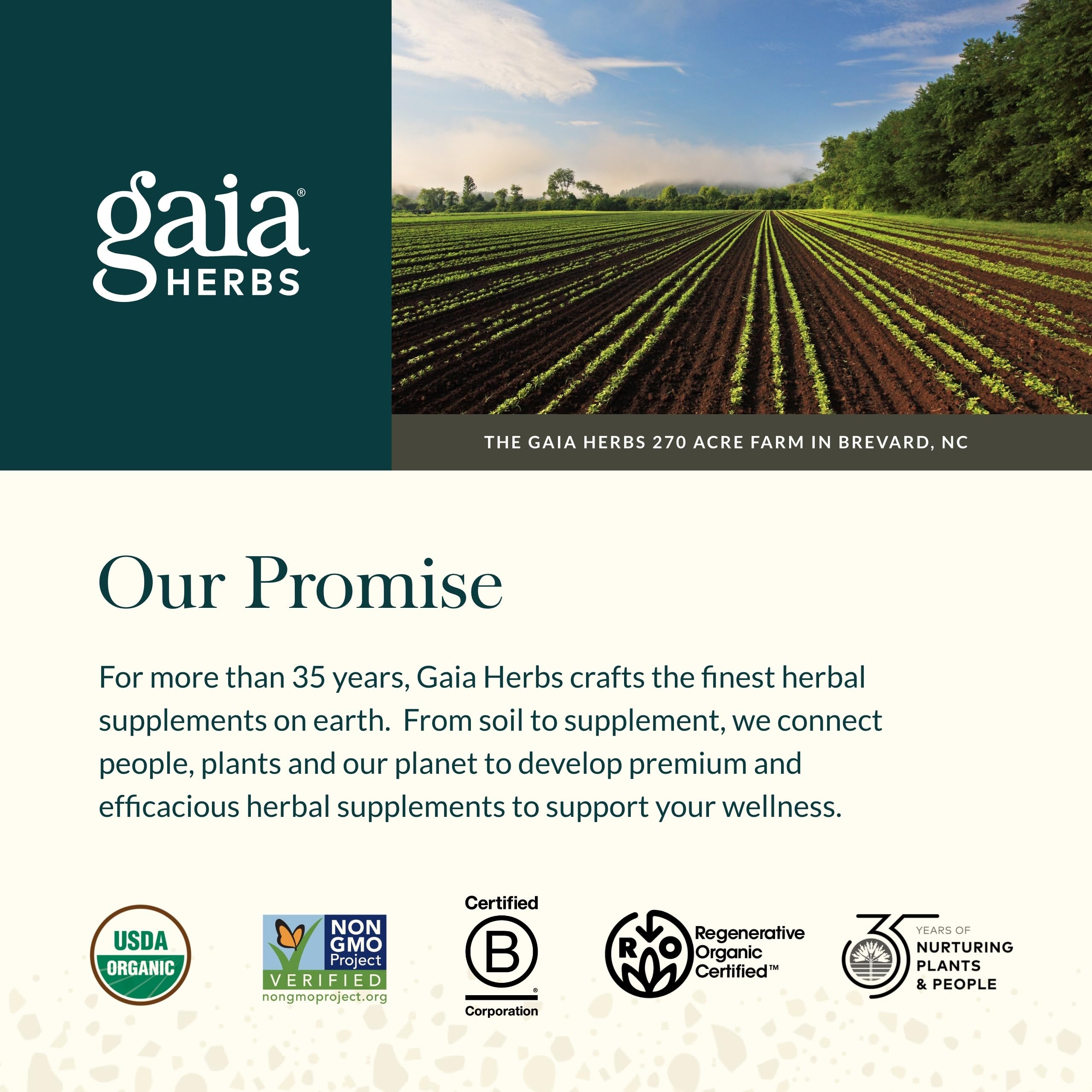 Flacon Gaia Herbs Plant Force Fer Liquide prêt à être stocké.