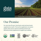 Flacon Gaia Herbs Plant Force Fer Liquide prêt à être stocké.