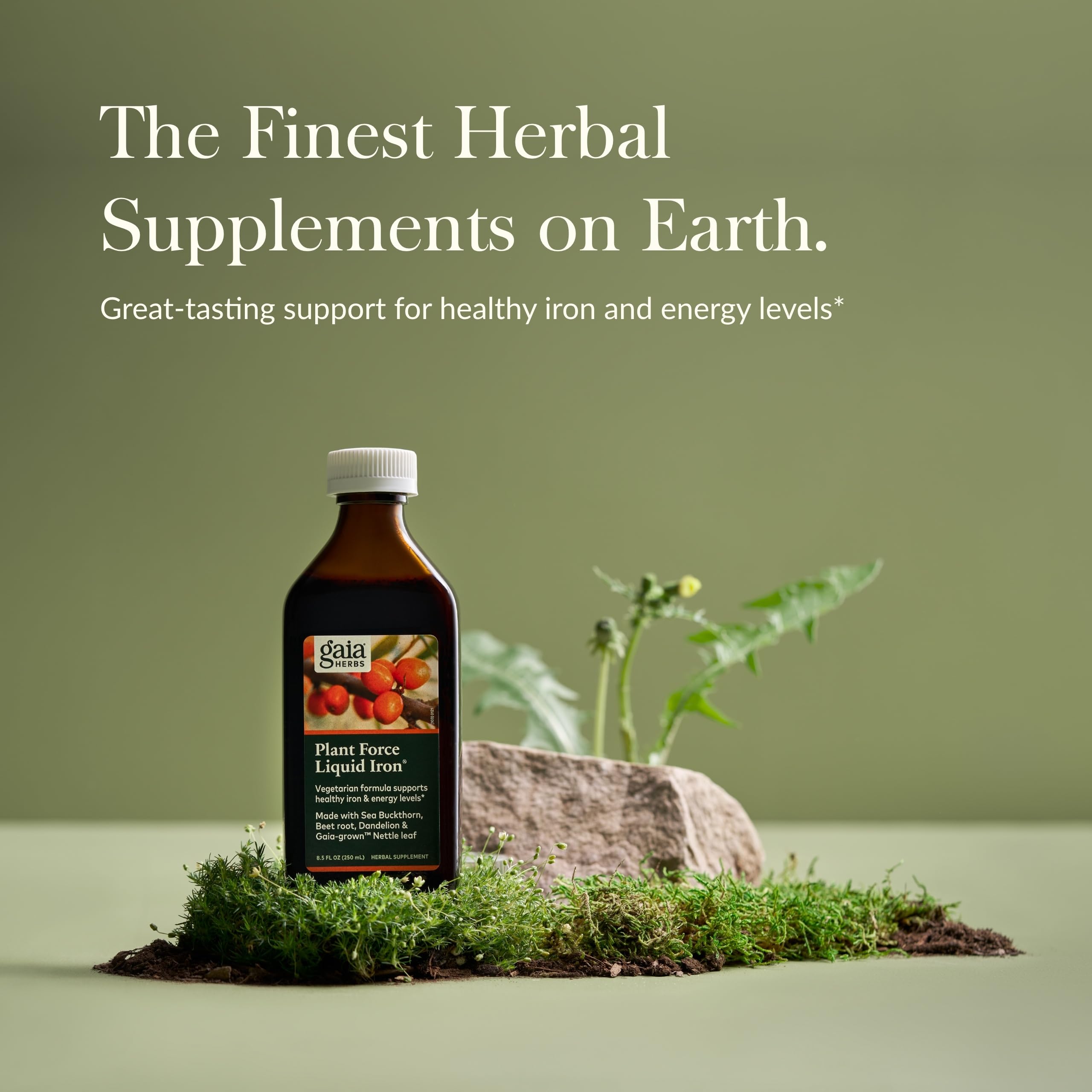 Étiquette Gaia Herbs Plant Force Fer Liquide montrant les informations et le branding.