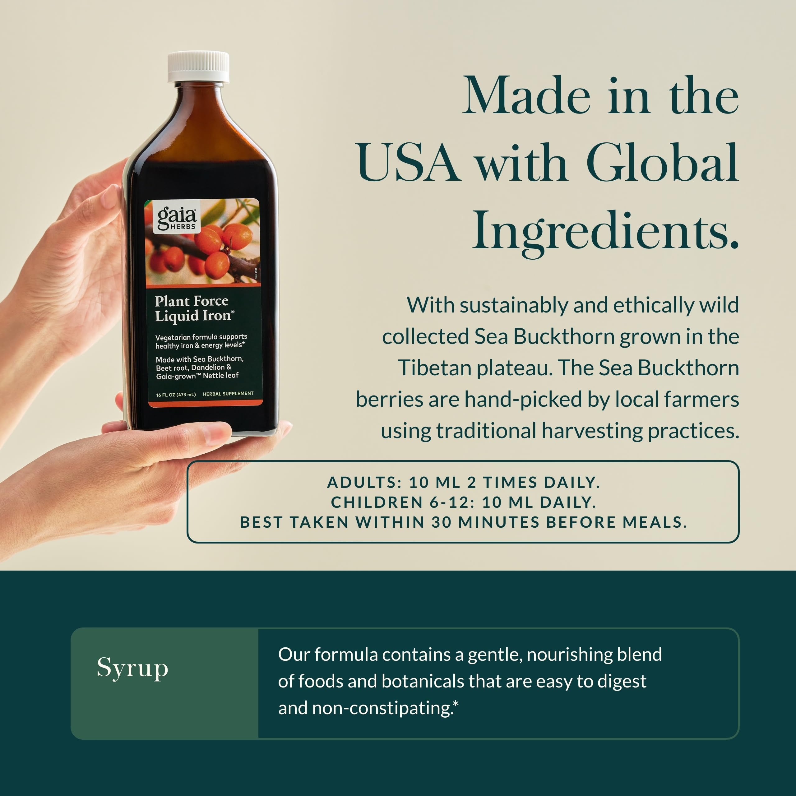 Gaia Herbs Plant Force Fer liquide – pissenlit — formulation naturelle pour le bien-être quotidien.