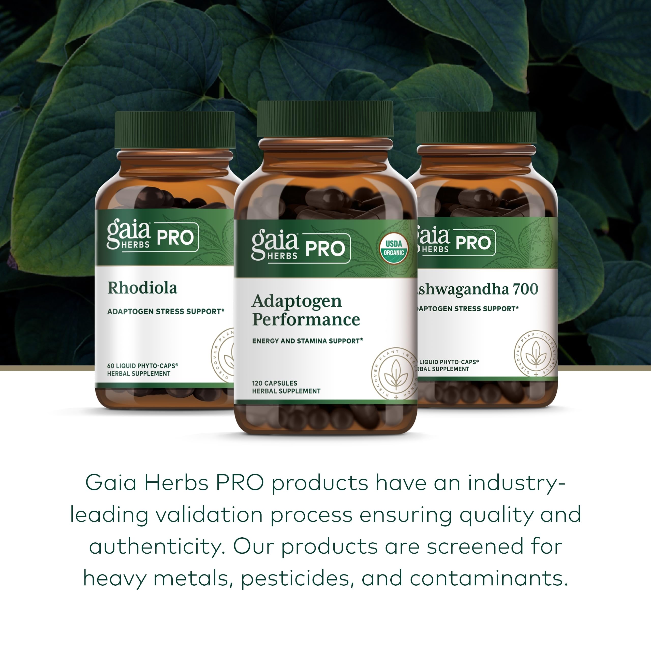 GAIA Herbs PRO Adaptogen Performance - capsules ouvertes montrant la texture des gélules.
