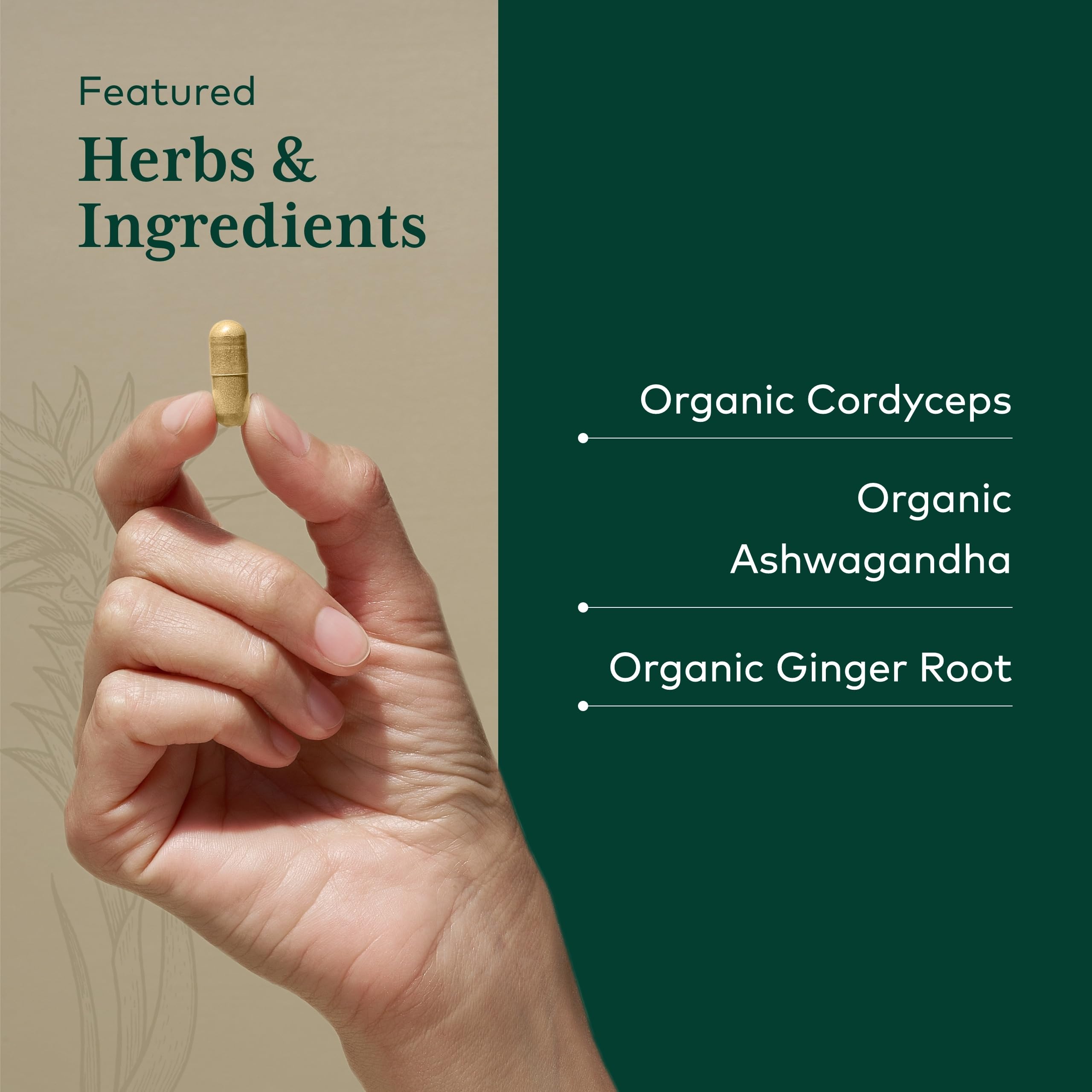 GAIA Herbs PRO Adaptogen Performance - fiche nutritionnelle et ingrédients détaillés.