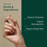 GAIA Herbs PRO Adaptogen Performance - fiche nutritionnelle et ingrédients détaillés.