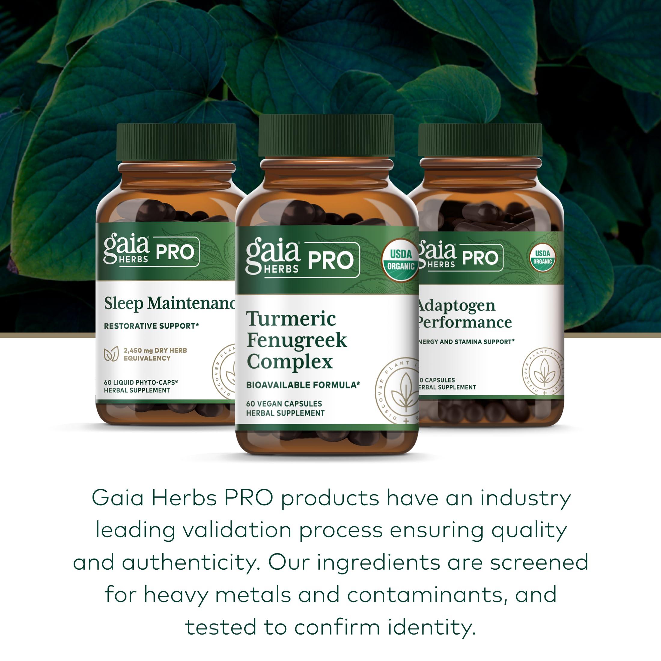 Vue des détails de dosage et de mode d’utilisation GAIA HERBS PRO.
