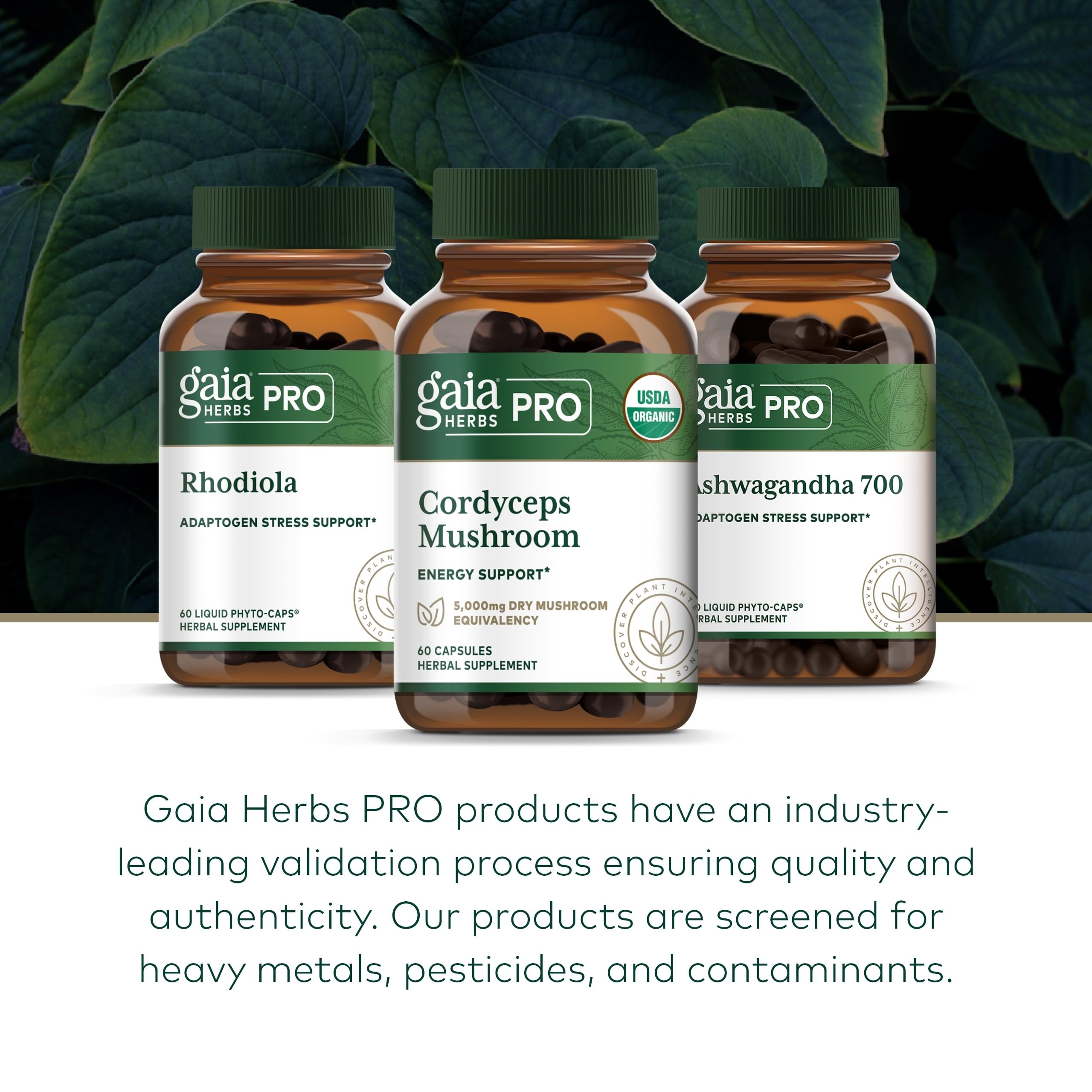Gélules Gaia Herbs Pro Cordyceps sur fond naturel; biodisponibilité mise en valeur.