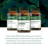 Gaia Herbs PRO bottle held in hand to show actual size and servings