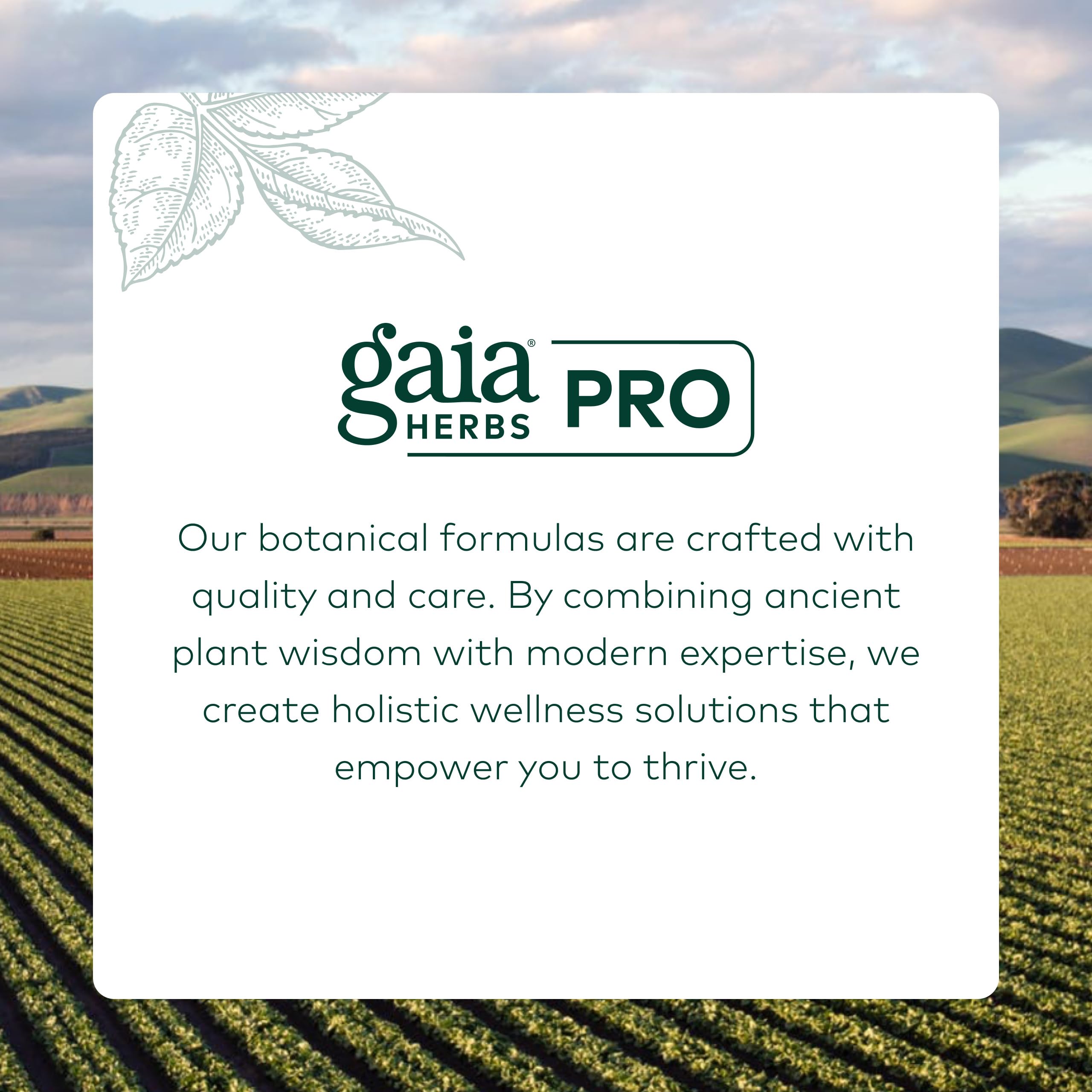 GAIA HERBS PRO bottle on a breakfast table to show daily-use context and convenient dosing