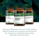 GAIA HERBS PRO turmeric root close-up showing plant source and natural curcumin benefit
