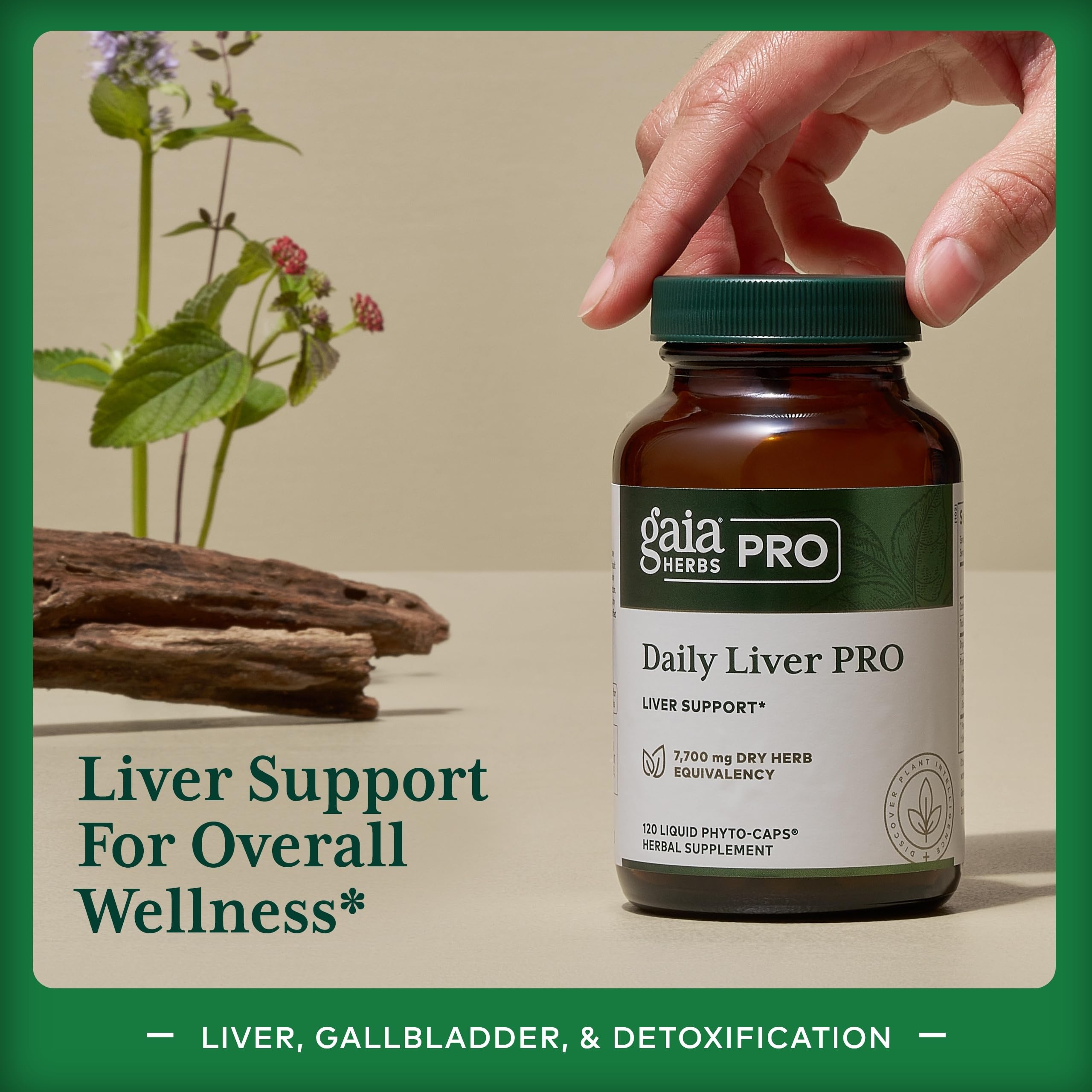 Gaia Herbs PRO Daily Liver Pro, ingrédients clés: chardon-Marie, schisandra et curcuma.