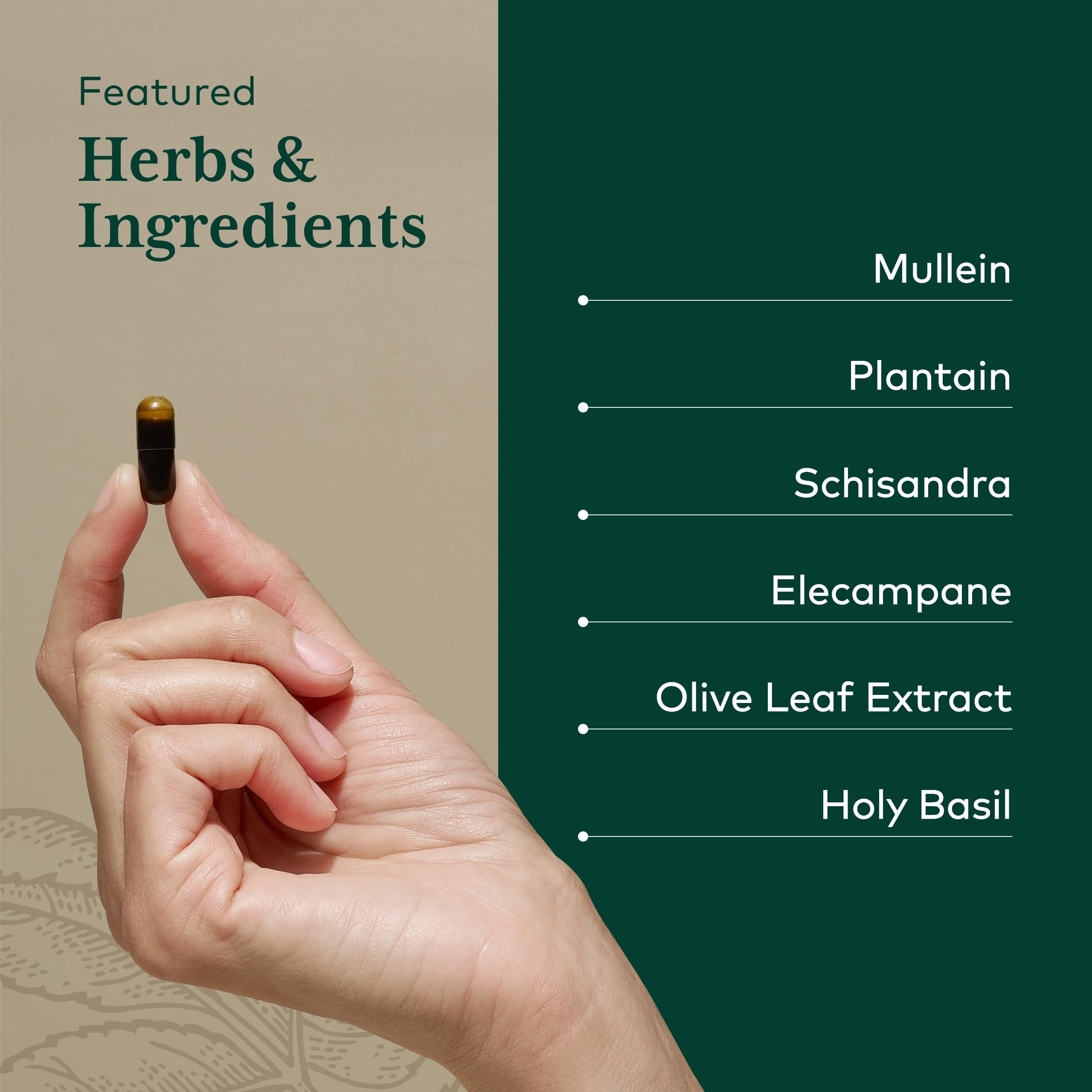 Gaia Herbs PRO Daily Lung Formula : huile-d-olive-lecithine pour une meilleure absorption potentielle.