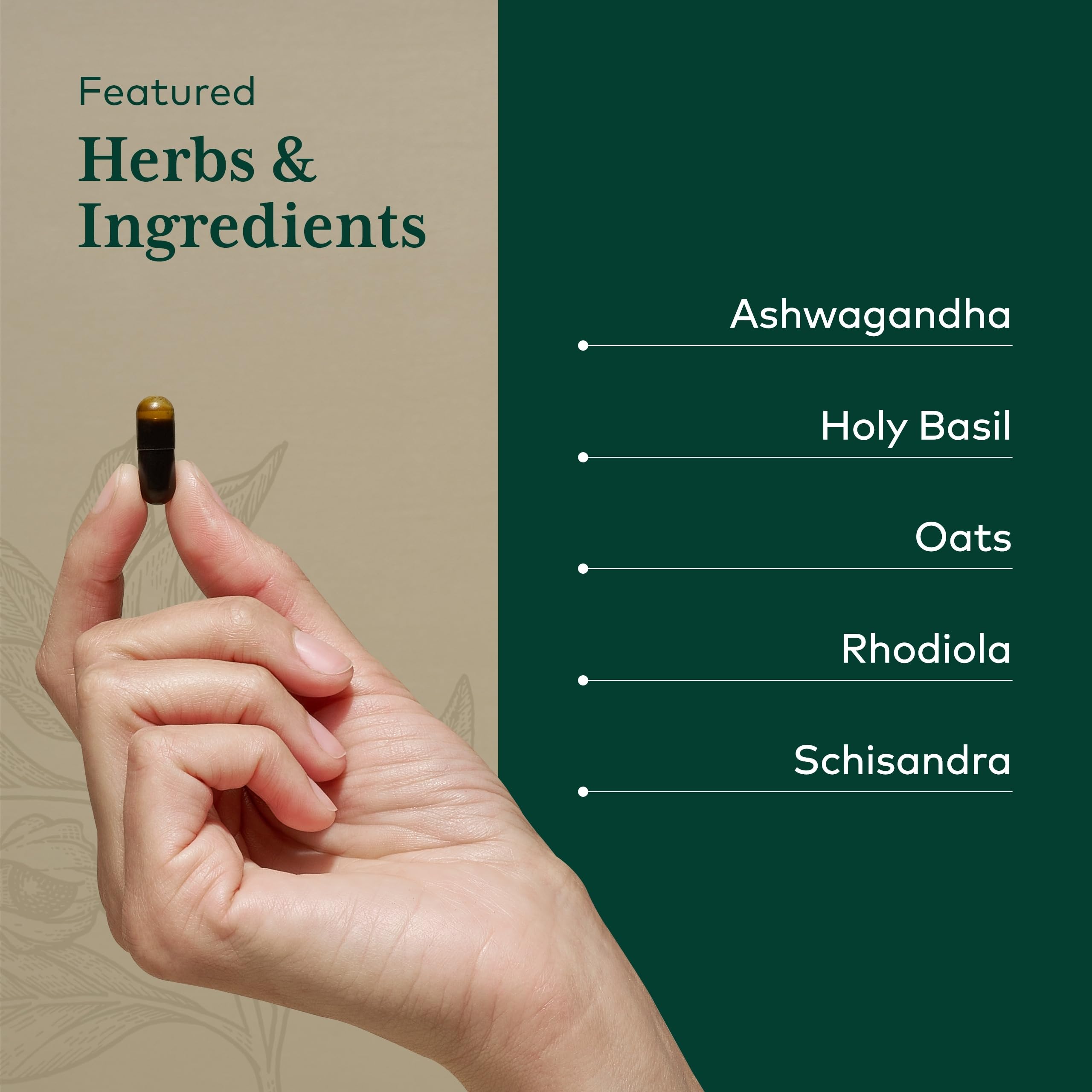 GAIA HERBS PRO Daytime HPA, ingrédients premium: ashwaganda, rhodiola et basilic sacré