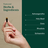 GAIA HERBS PRO Daytime HPA, ingrédients premium: ashwaganda, rhodiola et basilic sacré