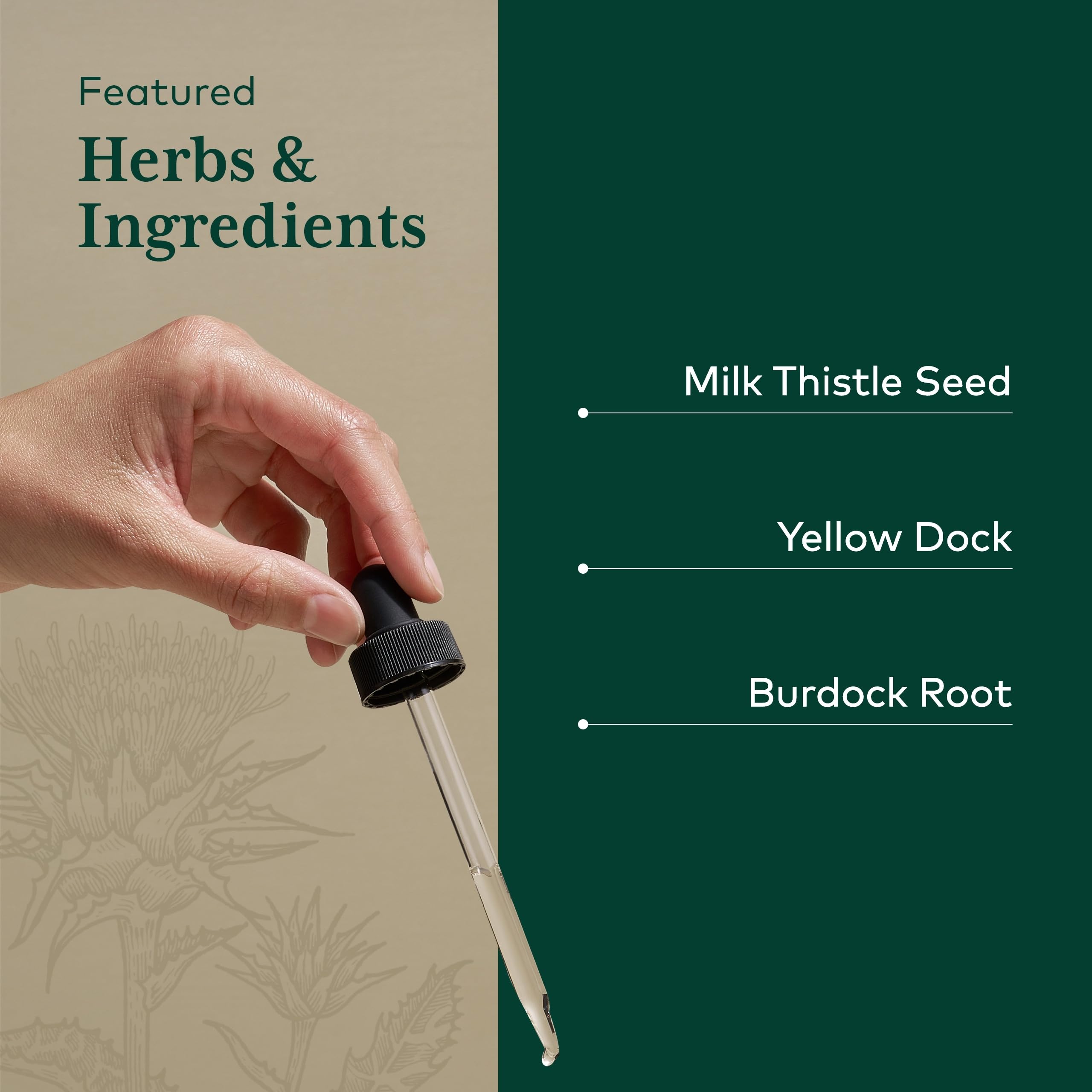 Gaia Herbs PRO Détoxification: dock jaune, ingrédients traditionnels pour le bien-être
