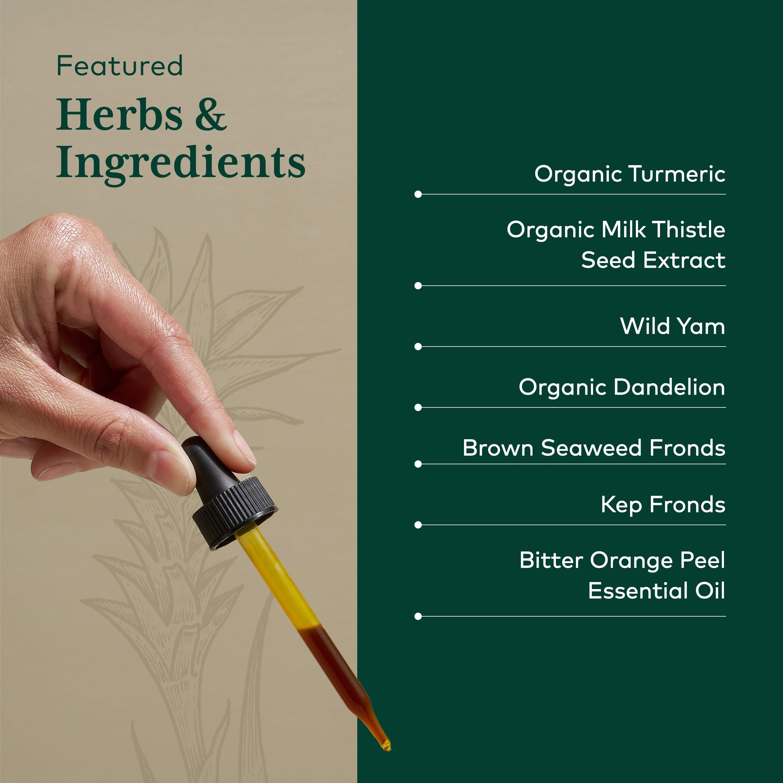 GAIA HERBS PRO Digestive Bitters, plante curcuma et fenouil, soutien potentiel des enzymes digestives.