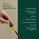 GAIA HERBS PRO Digestive Bitters, plante curcuma et fenouil, soutien potentiel des enzymes digestives.