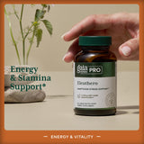 Capsules Eleuthero vues en perspective, forme pratique pour usage quotidien.