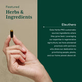 Prise en main de la bouteille GAIA HERBS PRO Eleuthero.