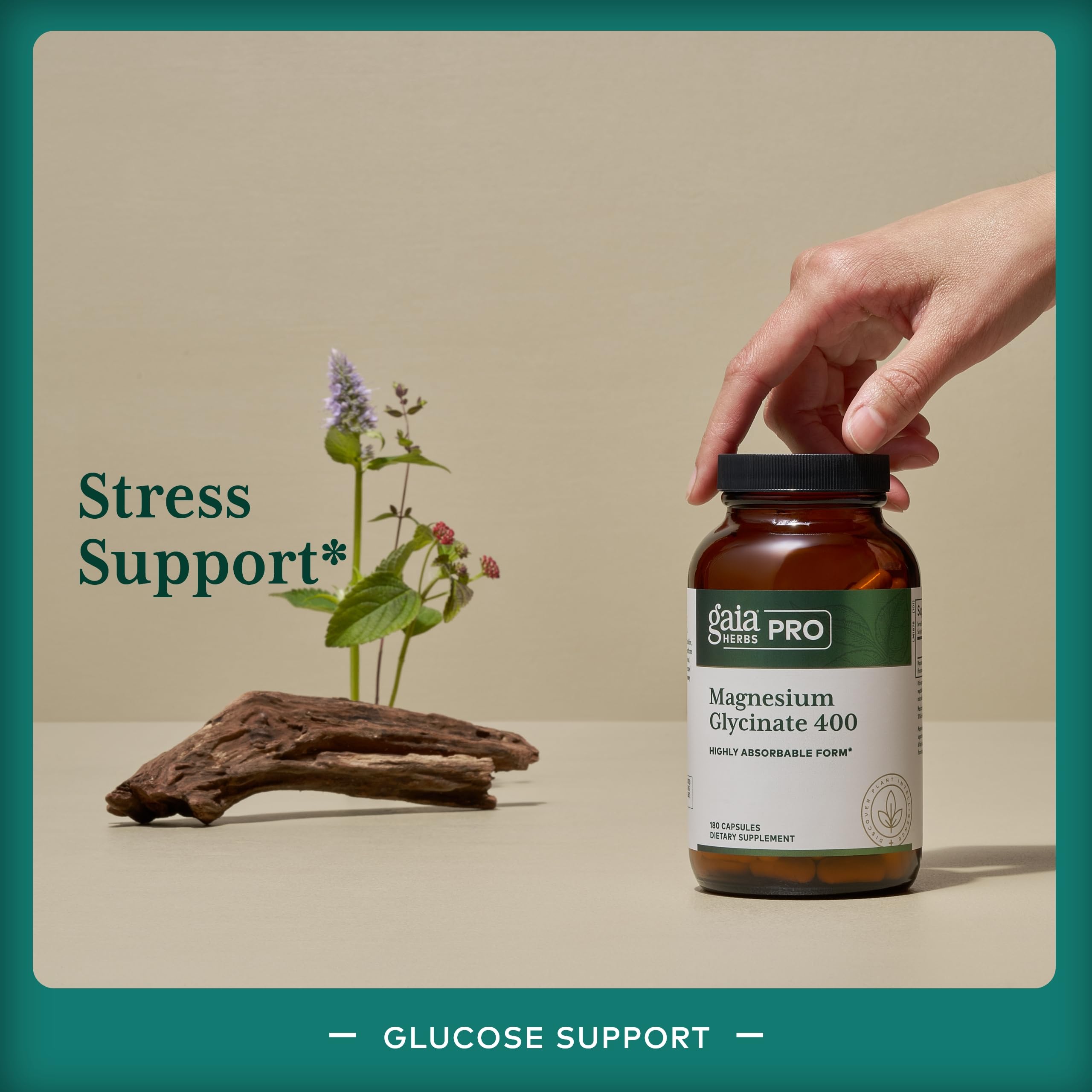 Gaia Herbs PRO – capsules pour une énergie quotidienne potentielle et un soutien général.