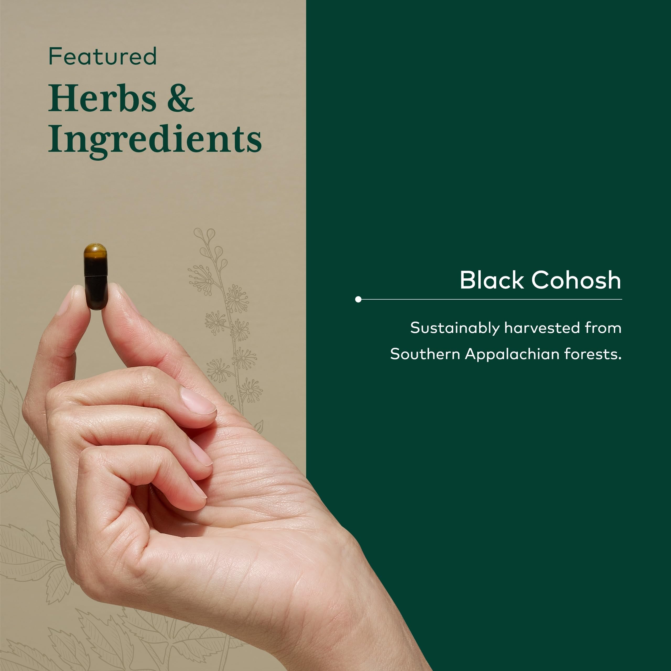 GAIA HERBS PRO Black Cohosh PRO extrait de racine dans le flacon
