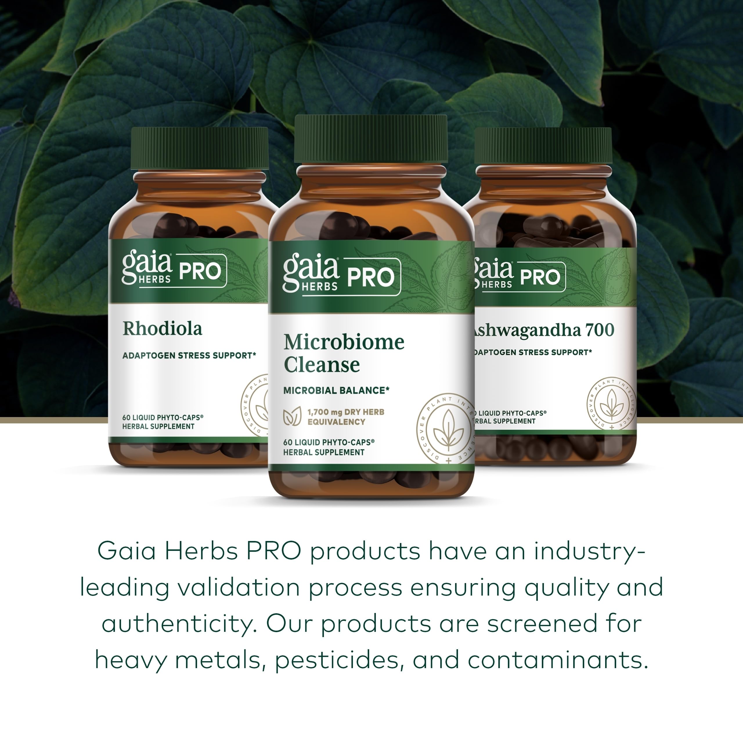 gaia-herbs-pro ferme-regenerative-bio-caroline-du-nord, traçabilité et origine.