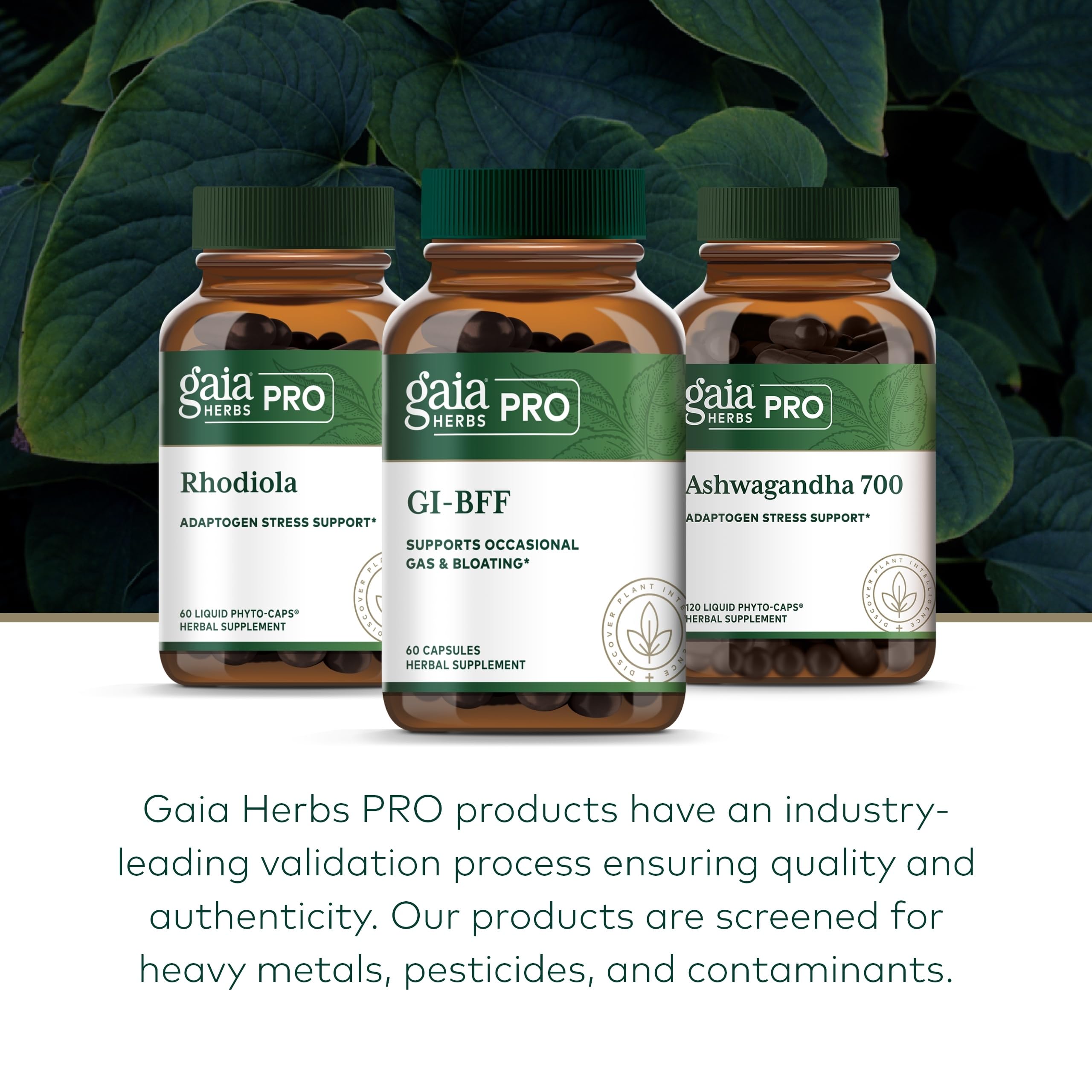 GAIA HERBS PRO FERME REGENERATIVE ORGANIC NC – Traçabilité et qualité grâce à une ferme certifiée.