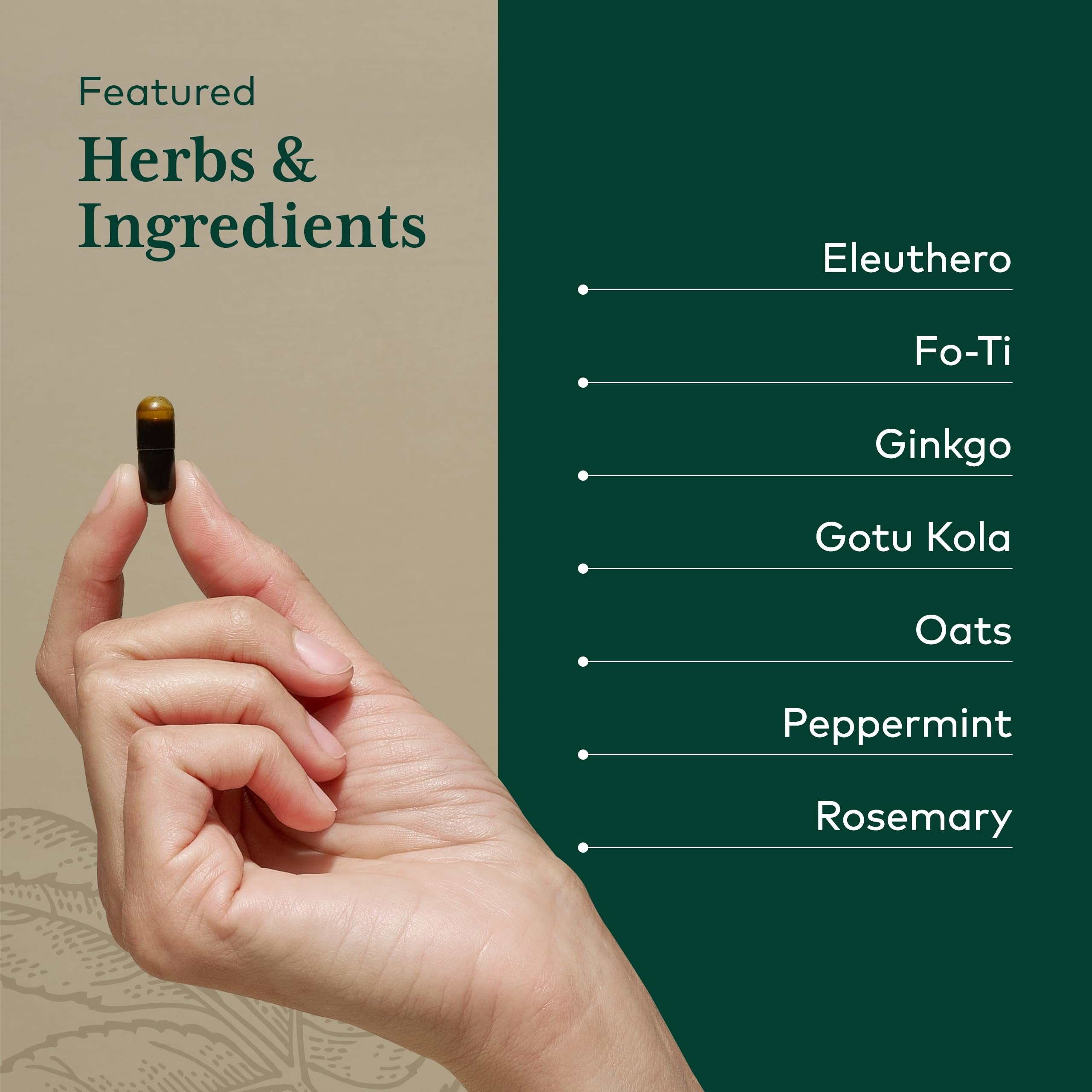 GAIA HERBS PRO Feuille de gotu kola – potentiel soutien à la vigilance