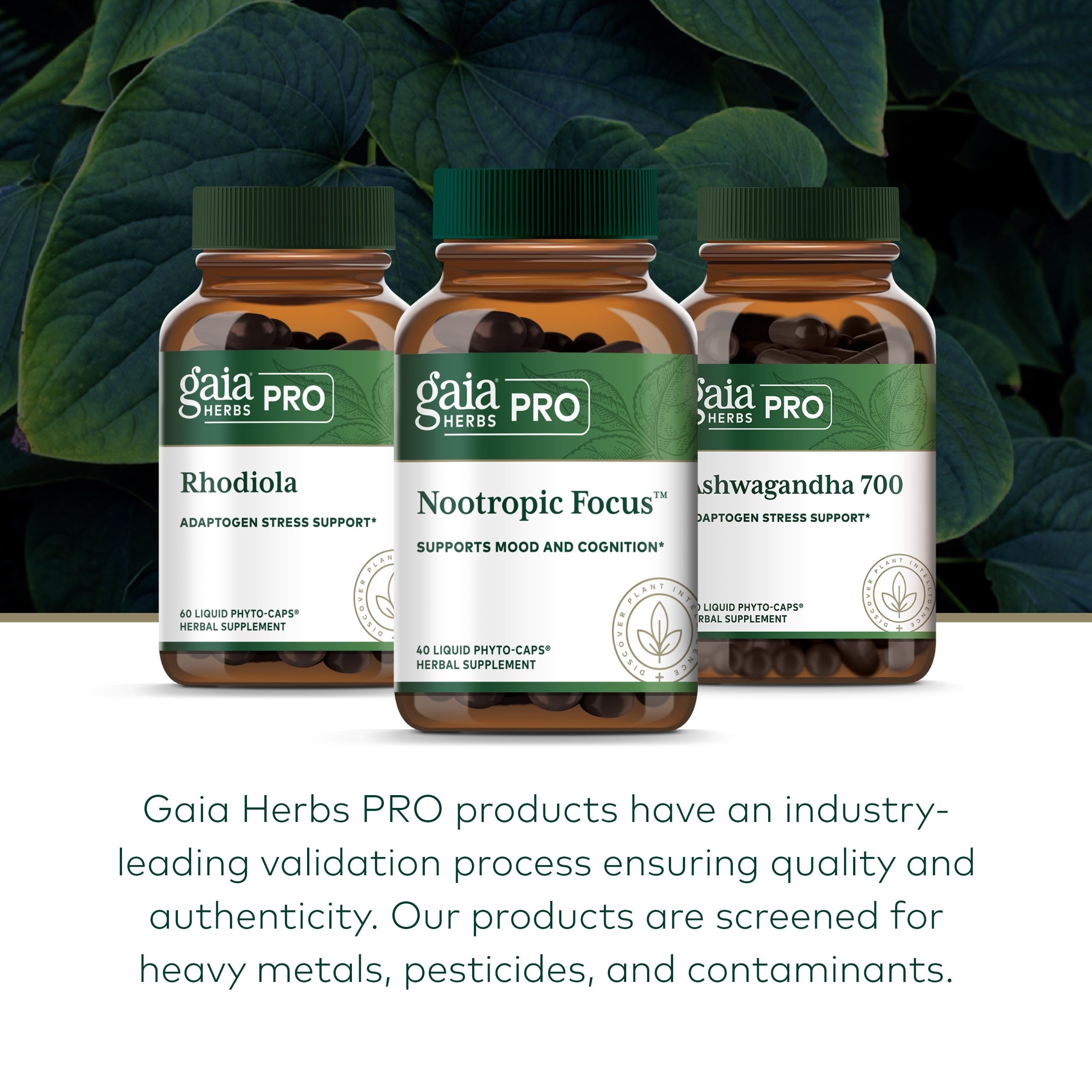 GAIA HERBS PRO Focus — Contrôle qualité strict et traçabilité