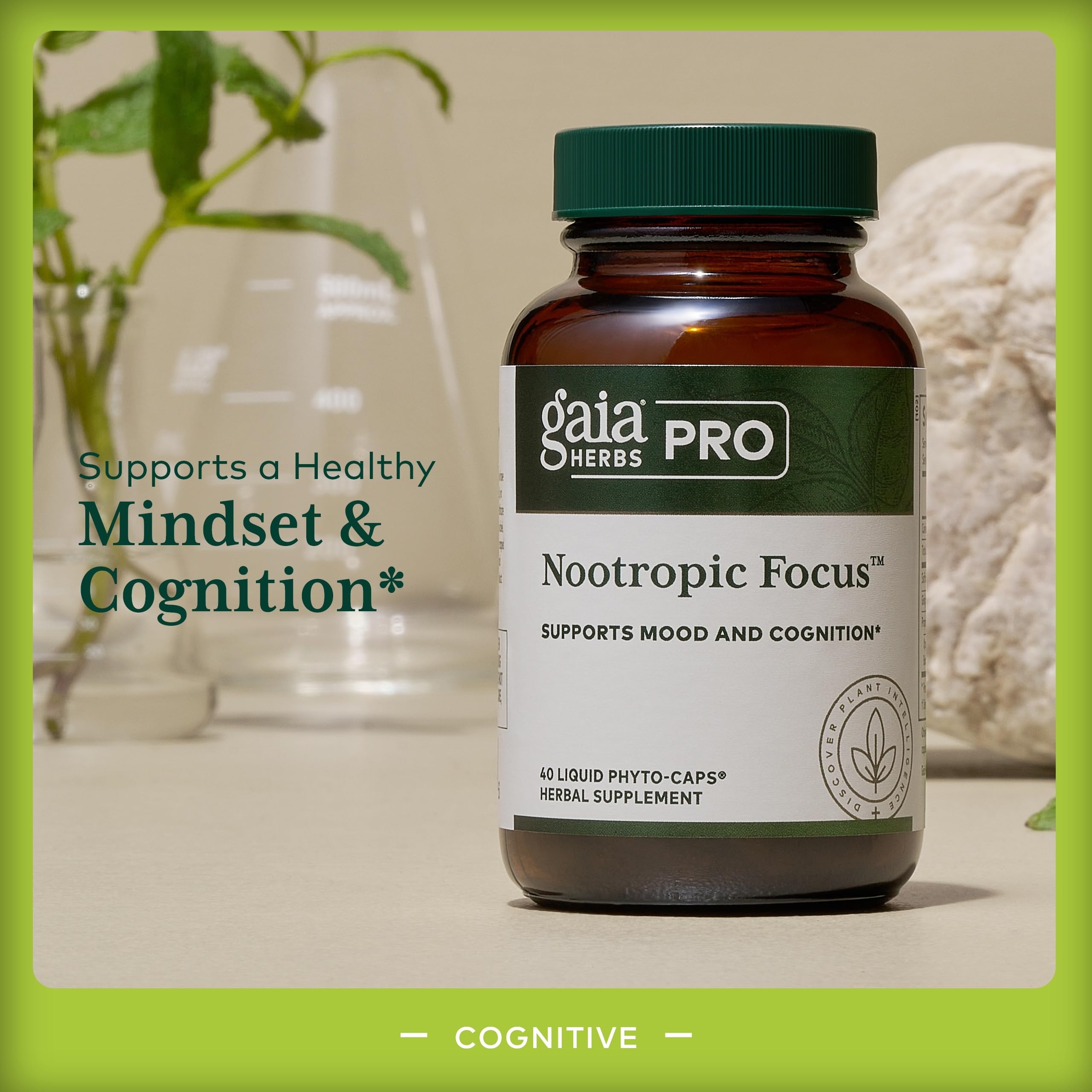 GAIA HERBS PRO Focus — Feuilles ginkgo visibles pour la tonicité cérébrale