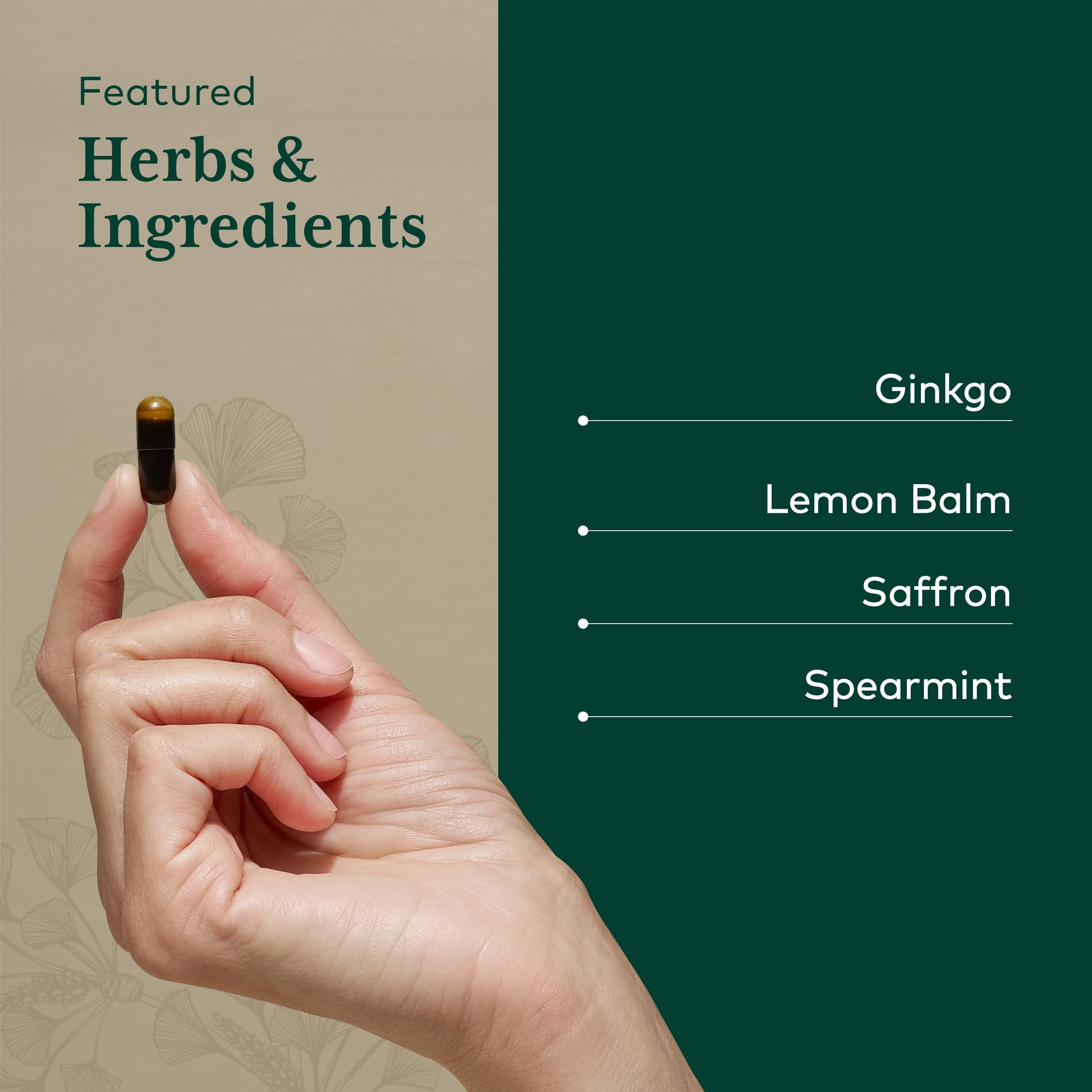 GAIA HERBS PRO Focus — Mélisse citronnée et menthe poivrée apportant fraîcheur