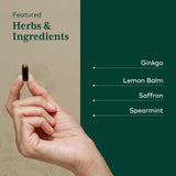 GAIA HERBS PRO Focus — Mélisse citronnée et menthe poivrée apportant fraîcheur