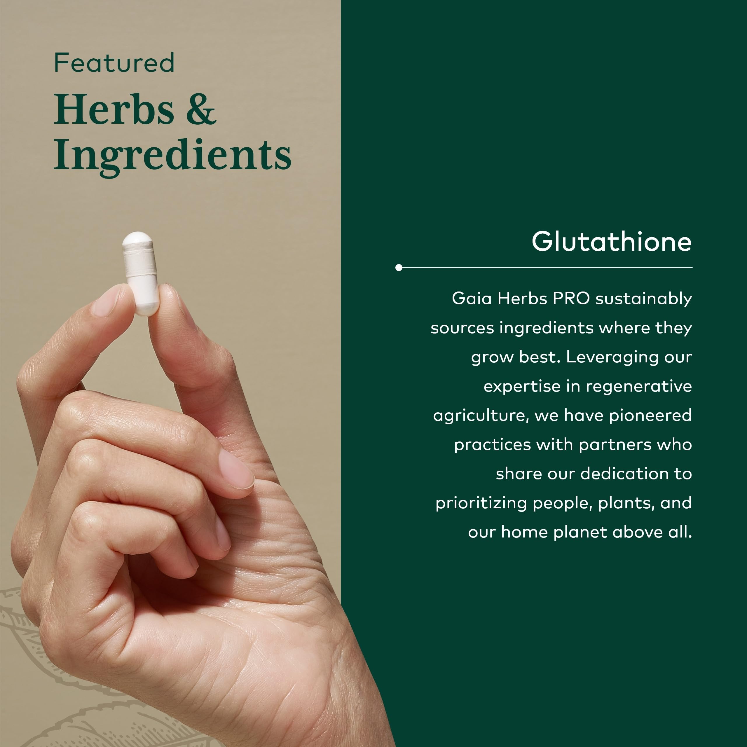 Gaia Herbs PRO Glutathione 500 - flacon posé sur fond neutre, rituel quotidien.