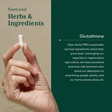 Gaia Herbs PRO Glutathione 500 - flacon posé sur fond neutre, rituel quotidien.