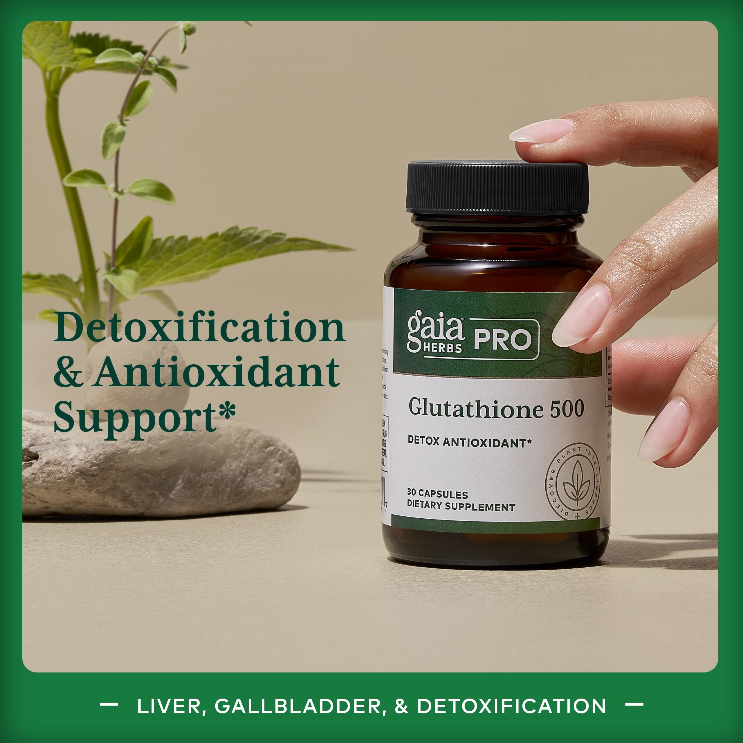 Gaia Herbs PRO Glutathione 500 - capsules faciles à avaler, usage quotidien.