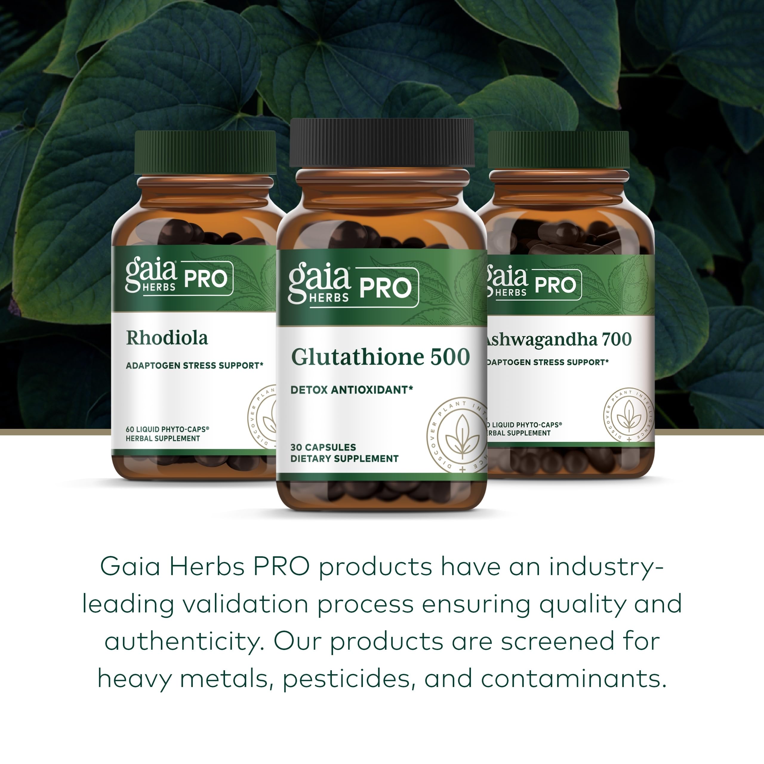 Gaia Herbs PRO Glutathione 500 - gros plan sur les gélules, composition naturelle.
