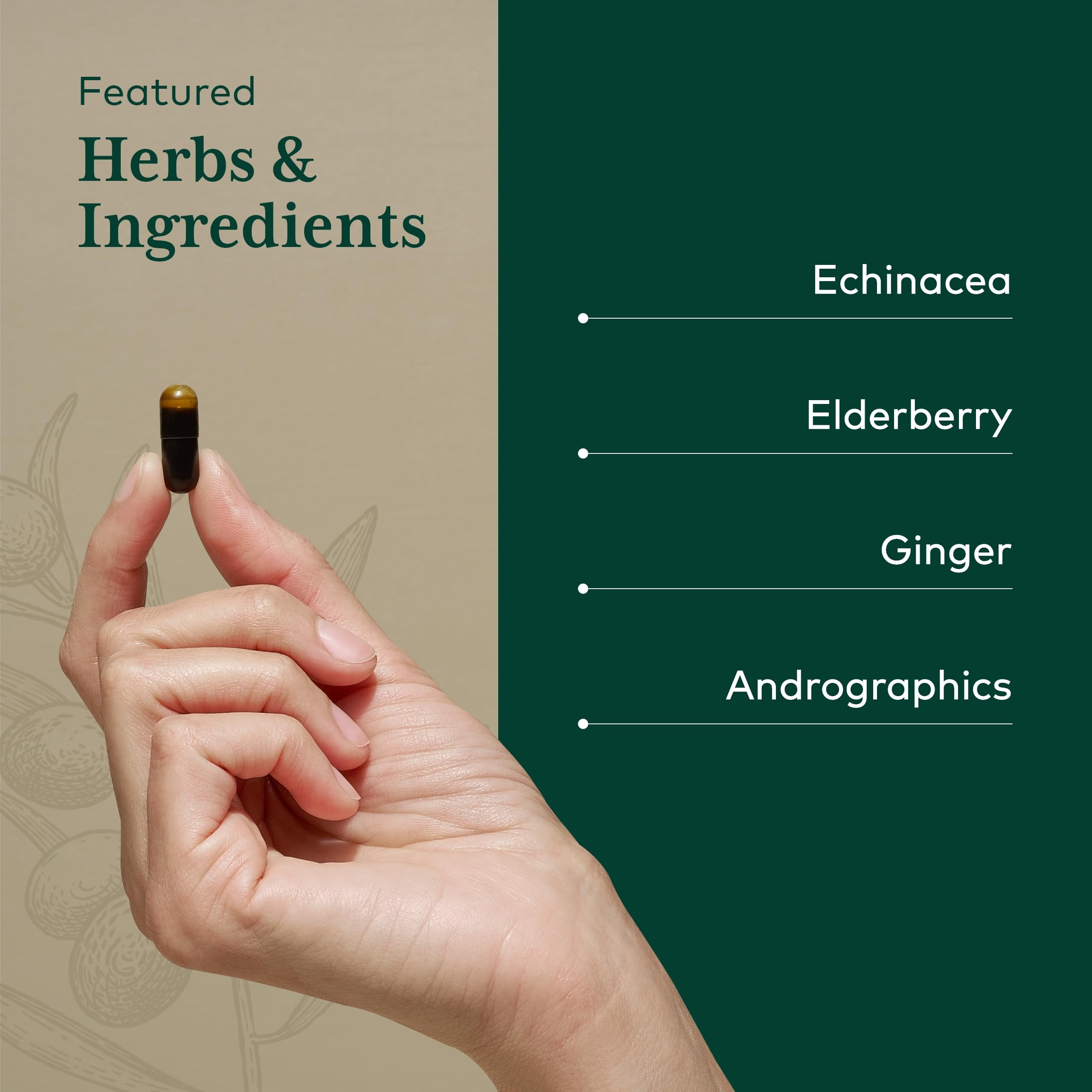 Gaia Herbs PRO Immune Activator – emballage lisible et origine naturelle des ingrédients.