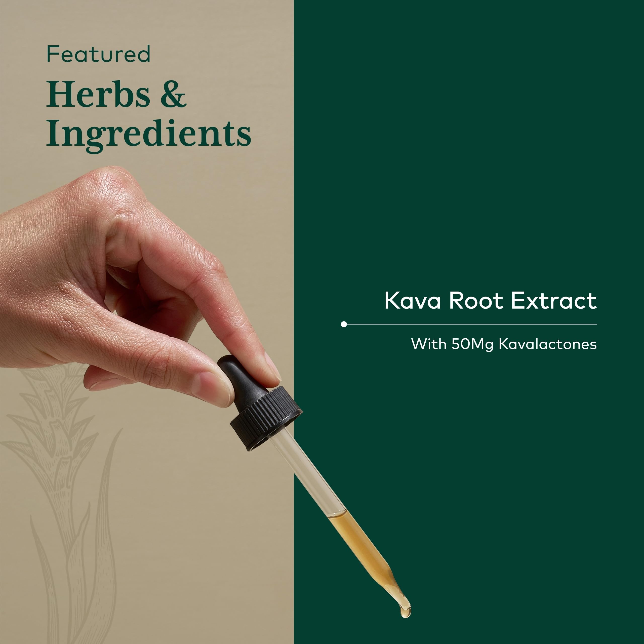 GAIA HERBS PRO Kava 50 capsules-gaia-pro: format pratique pour un usage occasionnel.