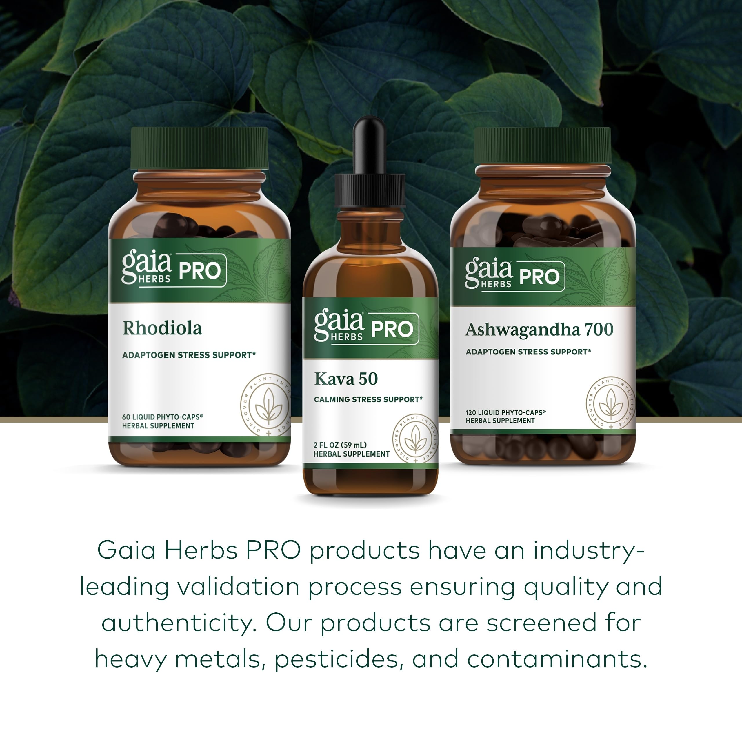 GAIA HERBS PRO Kava 50 tests-purity: contrôles de pureté sur chaque lot.