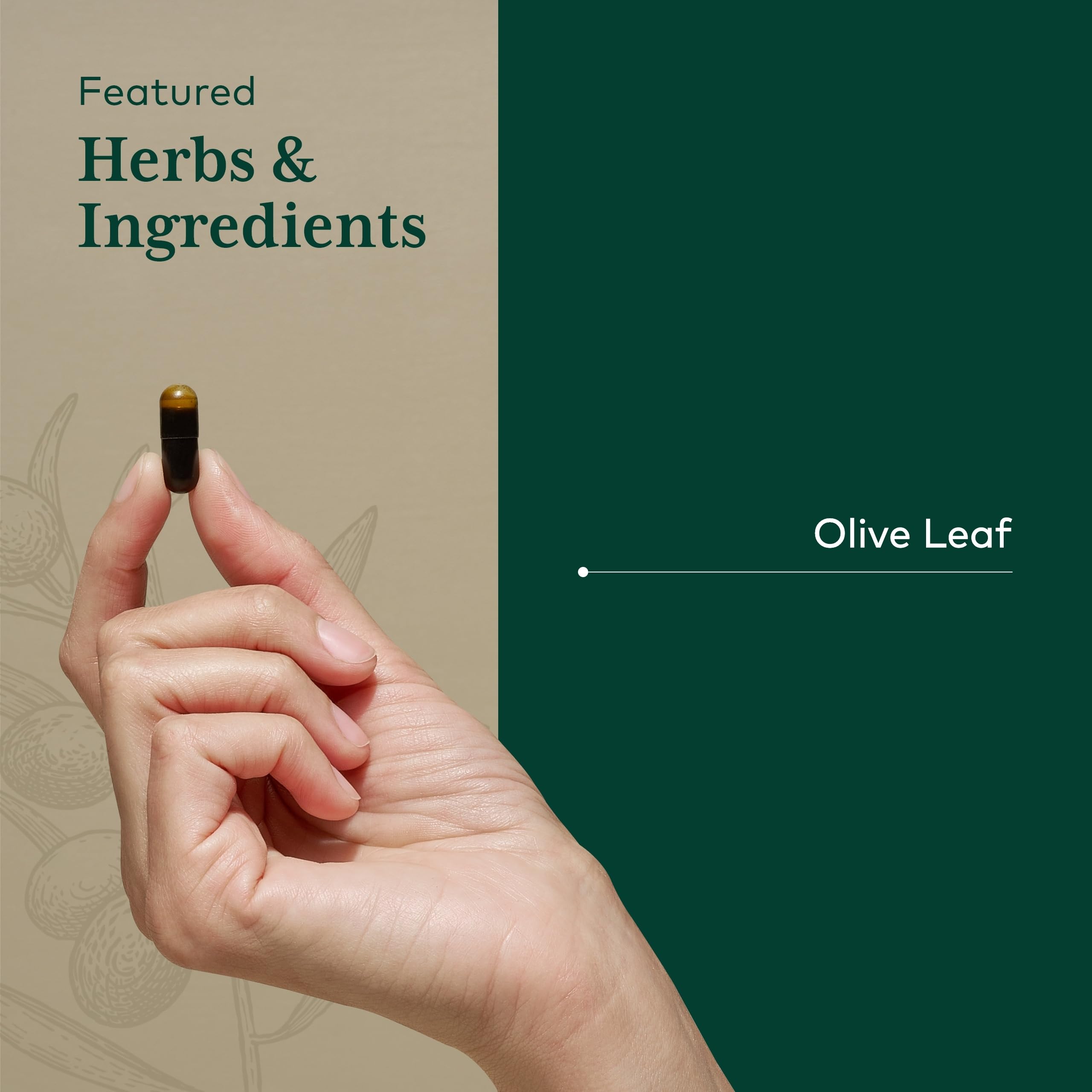 GAIA Herbs PRO Olive Leaf 1360 – gélules liquides pour une prise quotidienne pratique.