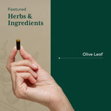 GAIA Herbs PRO Olive Leaf 1360 – gélules liquides pour une prise quotidienne pratique.